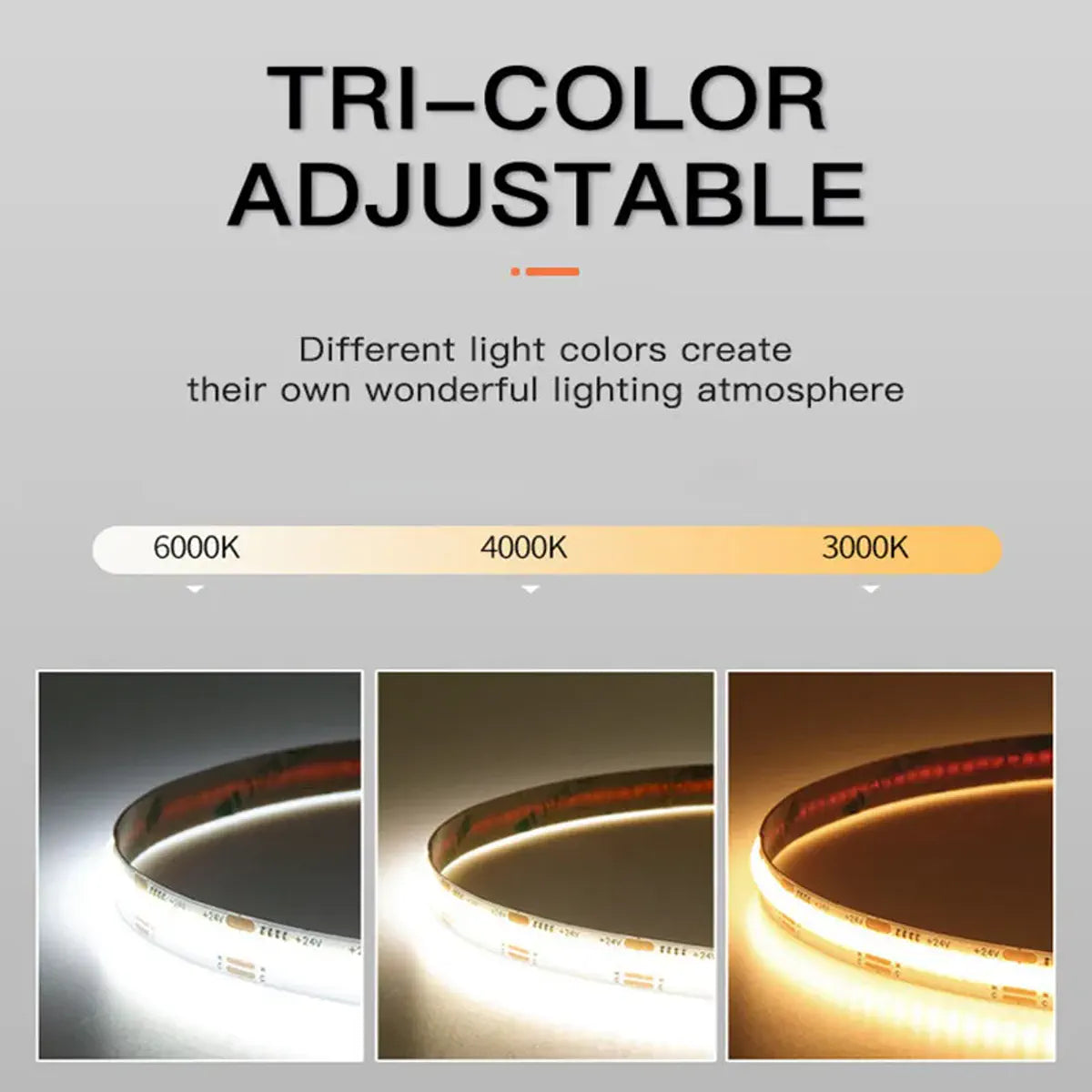 Dual White COB LED Strip Light - CCT Tunable 2700K-6500K, High Density 608 LEDs/m, CRI 90+